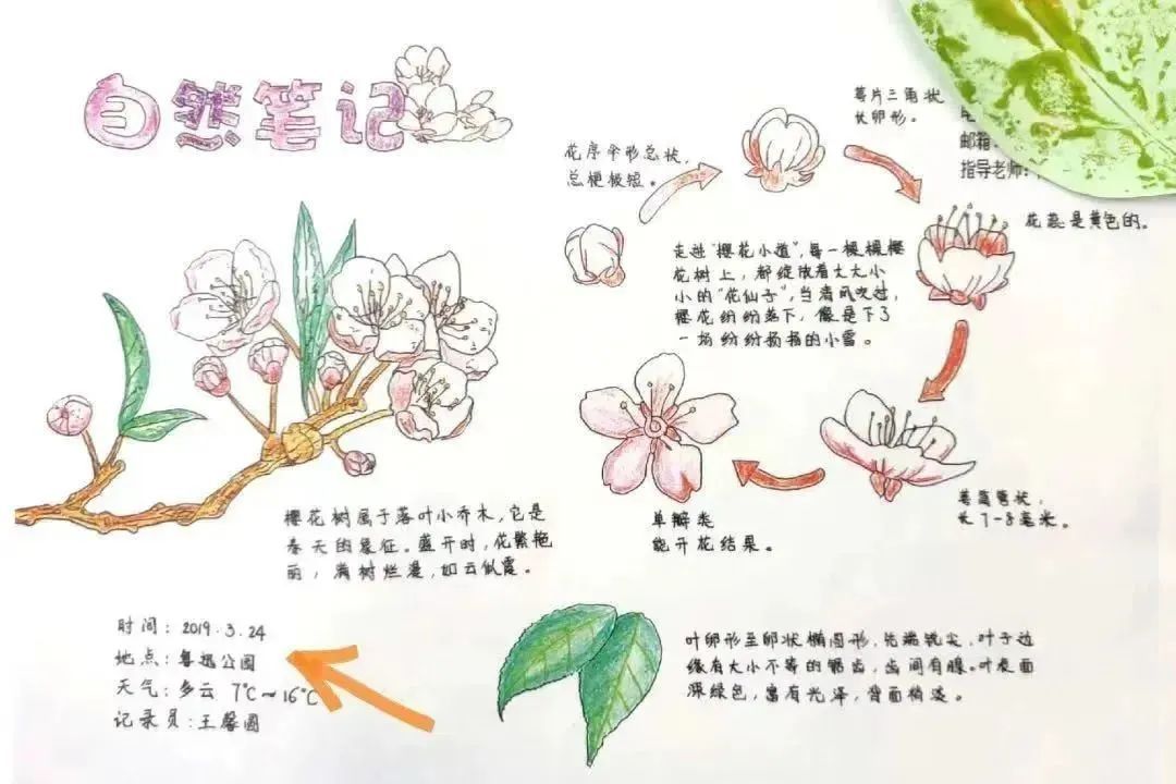 火狐电竞活动 2023年“绿化大篷车”园艺市集与您相约徐汇乐汇小游园(图1)