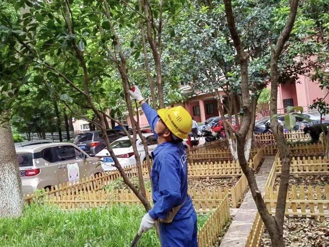 火狐电竞小区里的“生态花园”你慕了吗？(图3)