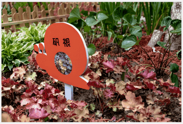 火狐电竞小区里的“生态花园”你慕了吗？(图7)