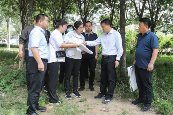 郭强调研城市绿化提升工作火狐电竞(图1)