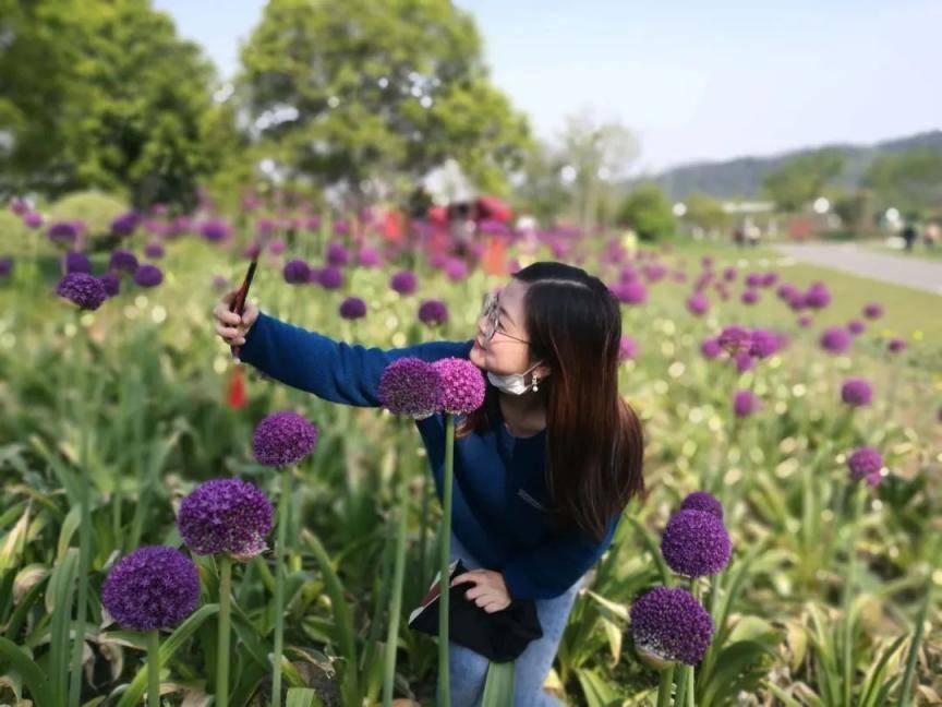 过度求新求美实则生态损毁：城市绿化须防“生火狐电竞态”(图2)