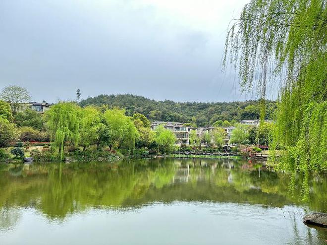 原生山林、水火狐电竞域美景、“绿色”饮品……小区绿化还能这么做！(图1)