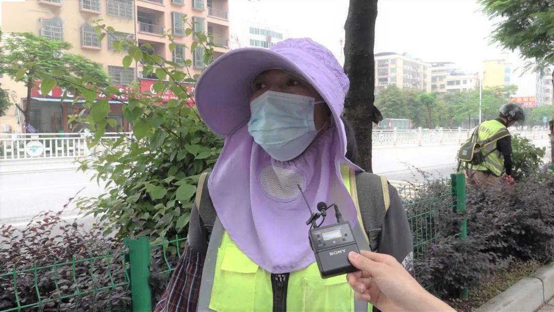 火狐电竞绿化让新丰更精致宜人｜绿美新丰(图8)