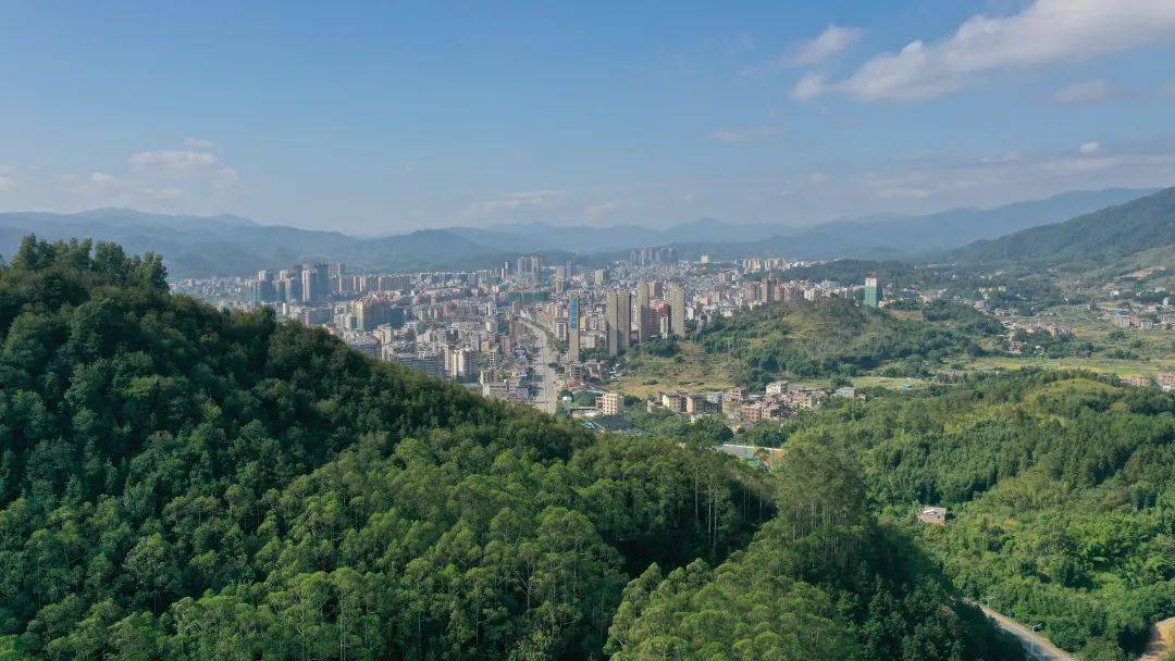 火狐电竞绿化让新丰更精致宜人｜绿美新丰(图2)