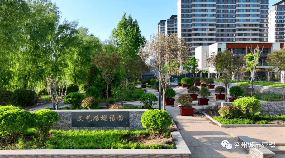 多层次绿化让市民“兖”中有景火狐电竞(图4)