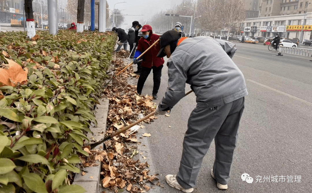 多层次绿化让市民“兖”中有景火狐电竞(图11)