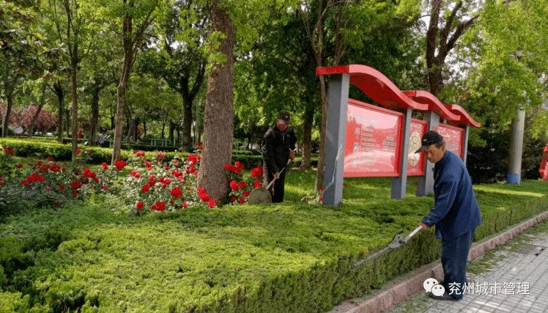 多层次绿化让市民“兖”中有景火狐电竞(图10)