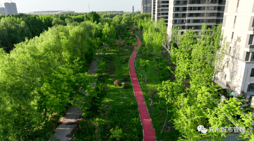 多层次绿化让市民“兖”中有景火狐电竞(图8)