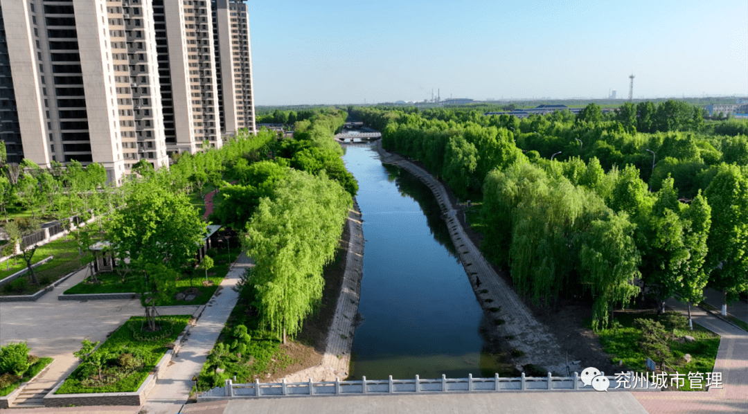 多层次绿化让市民“兖”中有景火狐电竞(图9)