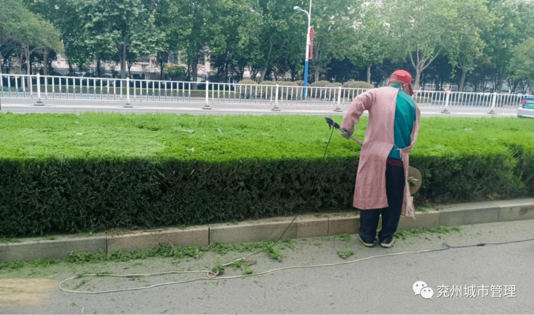 多层次绿化让市民“兖”中有景火狐电竞(图12)