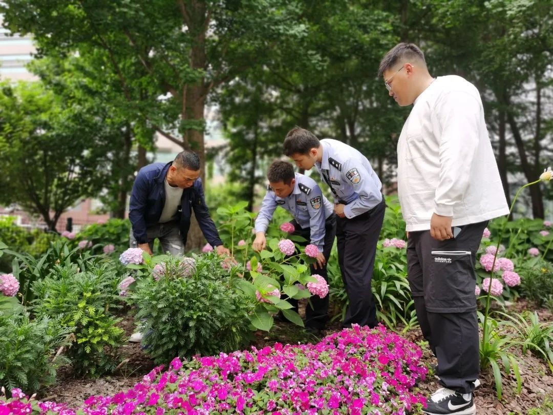 趁着夜色到绿化带“进货”？价值4万元的景观花被卖了1000元火狐电竞(图1)