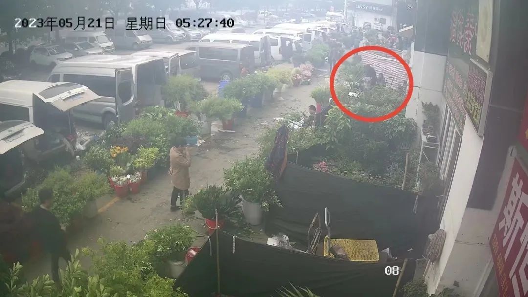 趁着夜色到绿化带“进货”？价值4万元的景观花被卖了1000元火狐电竞(图5)