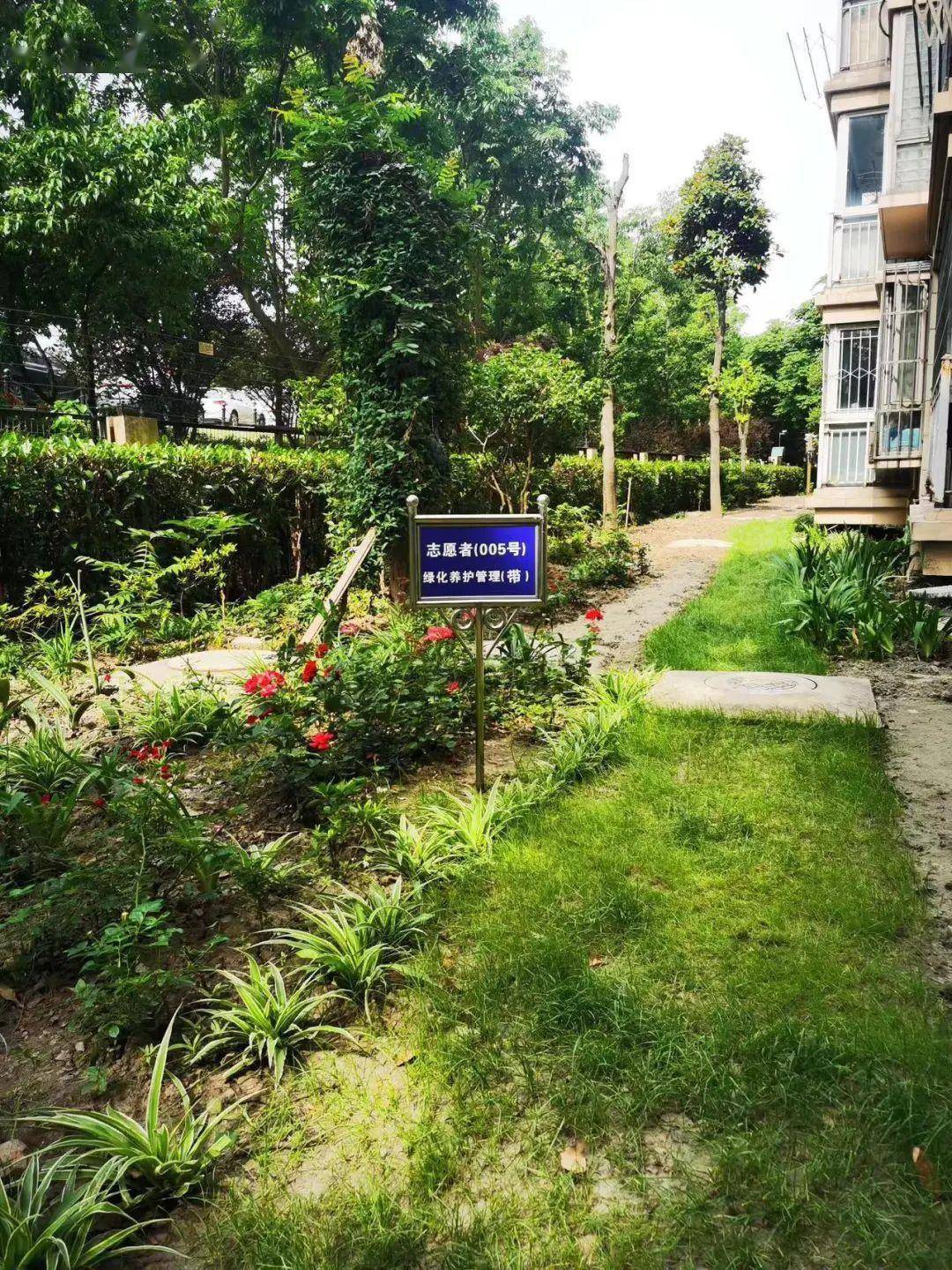 火狐电竞绿地升级为小花园松江这个小区是怎么做到的？(图2)