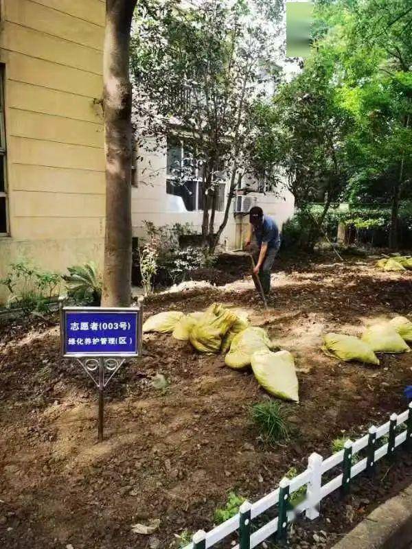 火狐电竞绿地升级为小花园松江这个小区是怎么做到的？(图4)