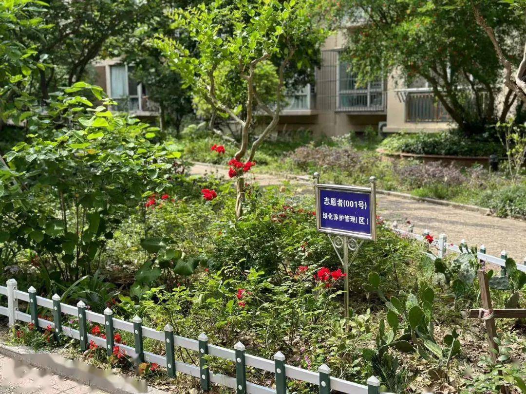 火狐电竞绿地升级为小花园松江这个小区是怎么做到的？(图1)