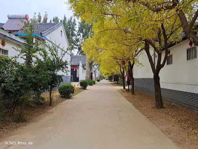全域绿化如何长火狐电竞效？看昌乐县五图街道“绿化+产业”新探索(图6)