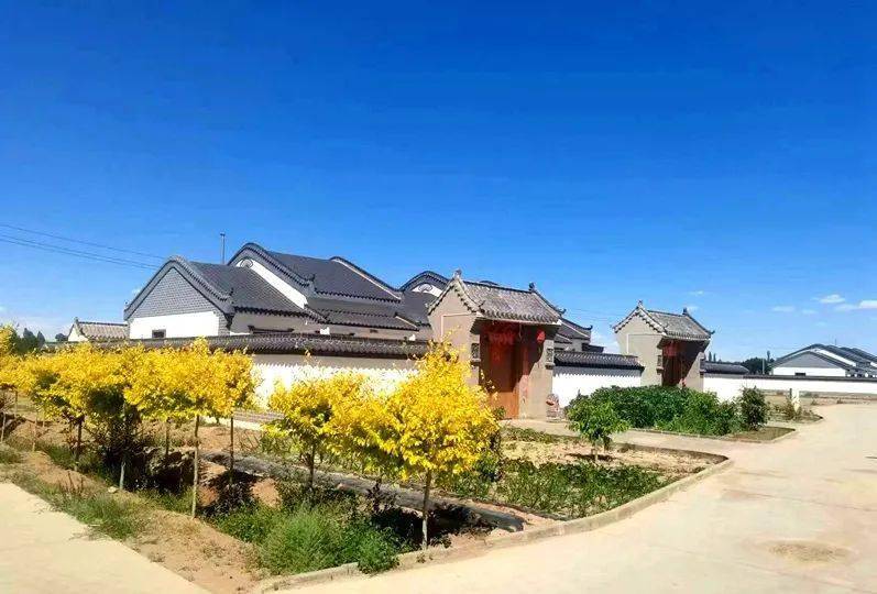 平川镇火狐电竞：盛夏似“金秋”(图1)