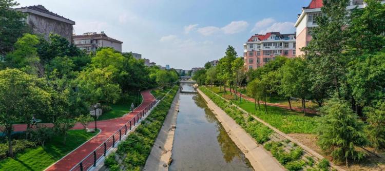 火狐电竞淄博市主干道绿化品质提升改造硕果累累(图1)