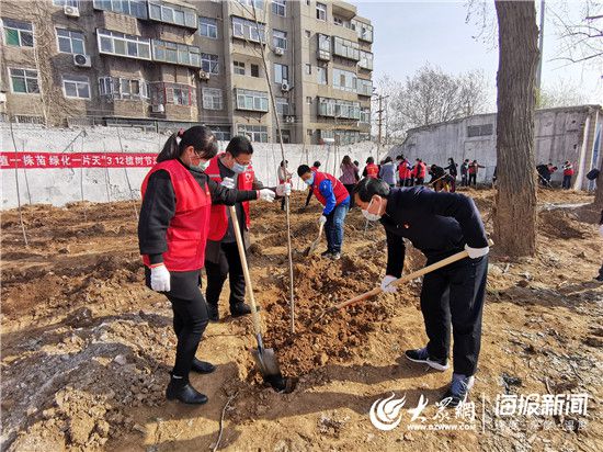 火狐电竞绿化近600亩土地 张店区全民绿化行动举行(图1)