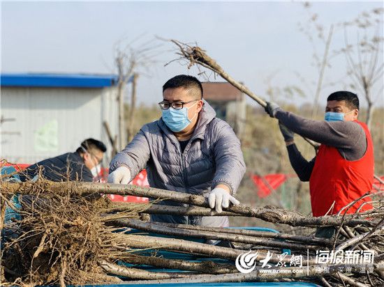 火狐电竞绿化近600亩土地 张店区全民绿化行动举行(图2)
