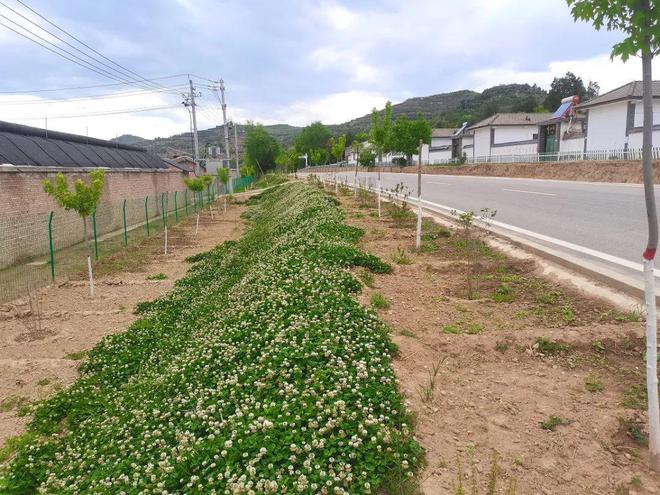 百里镇农业农村暨人居环境整治工火狐电竞作综述(图5)