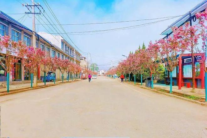 百里镇农业农村暨人居环境整治工火狐电竞作综述(图6)