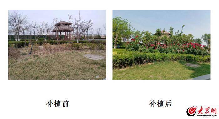 火狐电竞土地披“绿装” 河口绿化换新颜(图2)