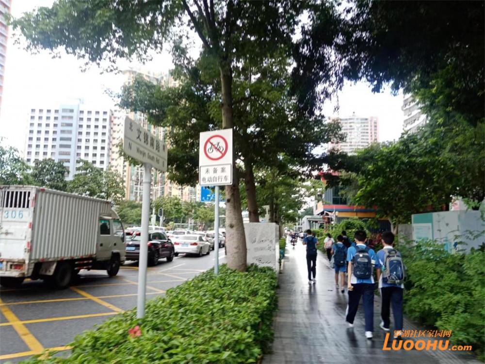 火狐电竞民呼我应｜文锦南路绿化植被过长该修剪了 罗湖城管：将在月底前修剪完毕(图1)