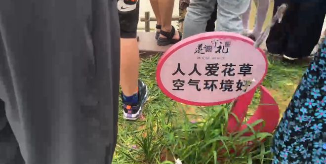火狐电竞网曝乐清中心公园不文明一幕！(图2)
