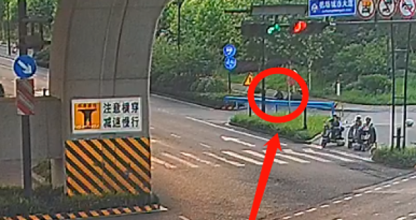 男子在绿化带迷路3天靠野花露火狐电竞水求生网友：确定是绿化带不是原始森林？(图2)