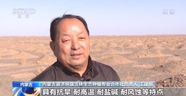 火狐电竞第43个植树节来了！我国国土绿化成效如何？来看→(图1)