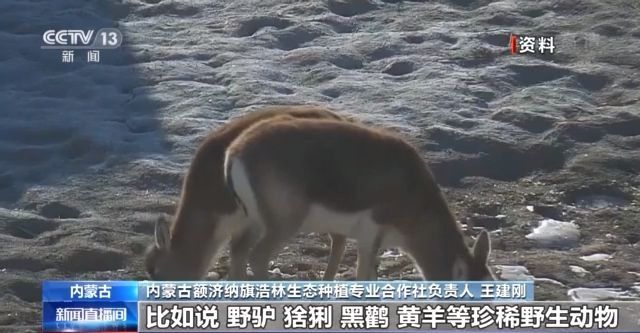 火狐电竞第43个植树节来了！我国国土绿化成效如何？来看→(图3)