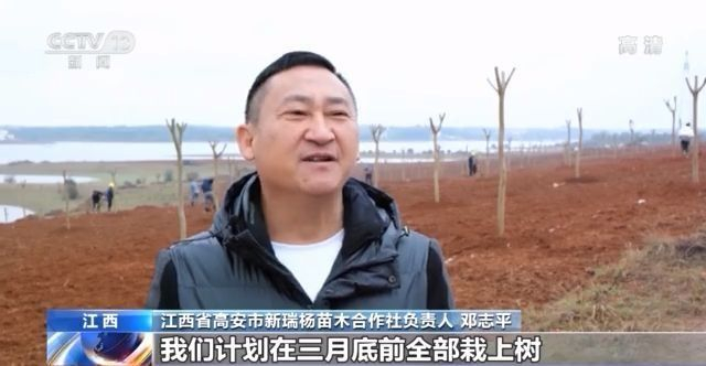 火狐电竞第43个植树节来了！我国国土绿化成效如何？来看→(图5)