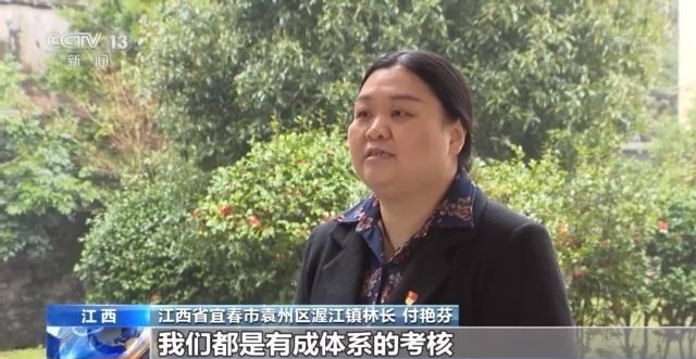火狐电竞第43个植树节来了！我国国土绿化成效如何？来看→(图11)