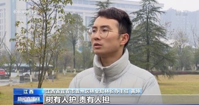 火狐电竞第43个植树节来了！我国国土绿化成效如何？来看→(图12)