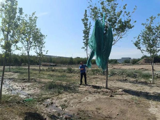 多项举措加强园林绿化养护管理工作 全面提升城市精细化管理水平火狐电竞(图2)