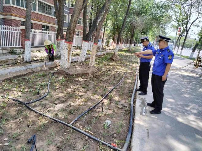 多项举措加强园林绿化养护管理工作 全面提升城市精细化管理水平火狐电竞(图1)