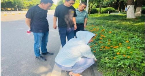 火狐电竞高标准将琴台绿化广场沿线打造成色彩丰富生态景观带(图2)