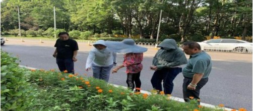 火狐电竞高标准将琴台绿化广场沿线打造成色彩丰富生态景观带(图6)