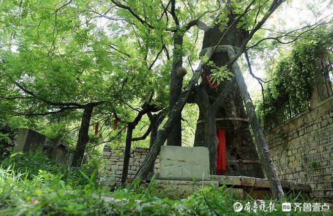 历下园林：凝心火狐电竞聚力 踔厉奋发 匠心打造高品质现代城区新形象(图4)