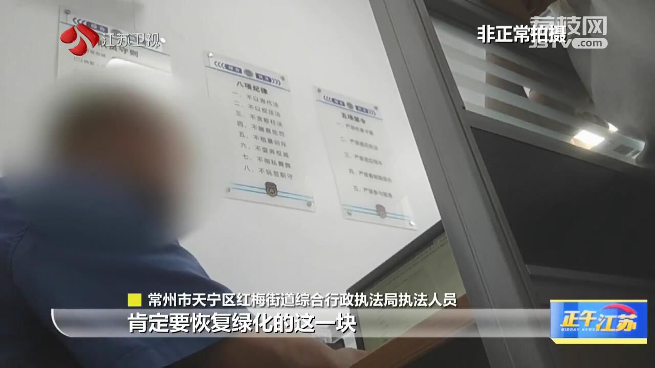火狐电竞锐观察｜常州天宁区：毁绿行为一罚了之 绿化恢复为何这么难？(图4)