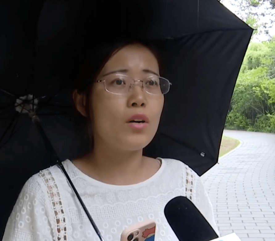 火狐电竞【打造“全国最干净城市”】绿化改造再提升增绿添彩展新颜！(图2)