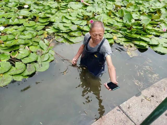 泰安市：好人好事暖火狐电竞人心处处彰显园林情(图2)