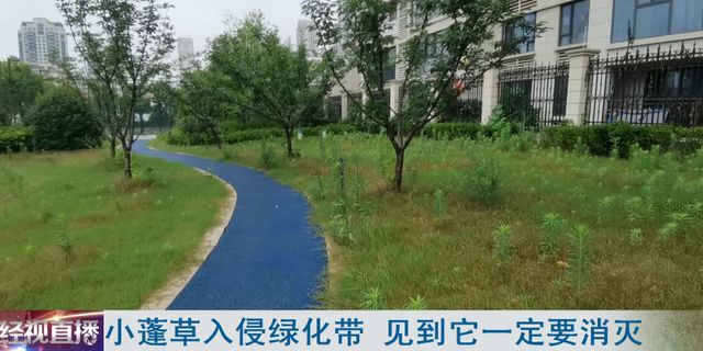 火狐电竞紧急提醒！日常可见请立马消灭它！(图1)