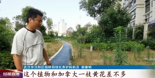 火狐电竞紧急提醒！日常可见请立马消灭它！(图5)