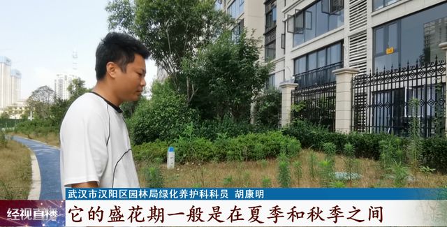 火狐电竞紧急提醒！日常可见请立马消灭它！(图6)