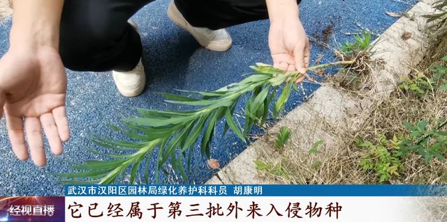 火狐电竞紧急提醒！日常可见请立马消灭它！(图4)