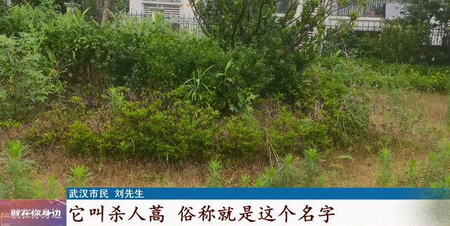 火狐电竞紧急提醒！日常可见请立马消灭它！(图2)