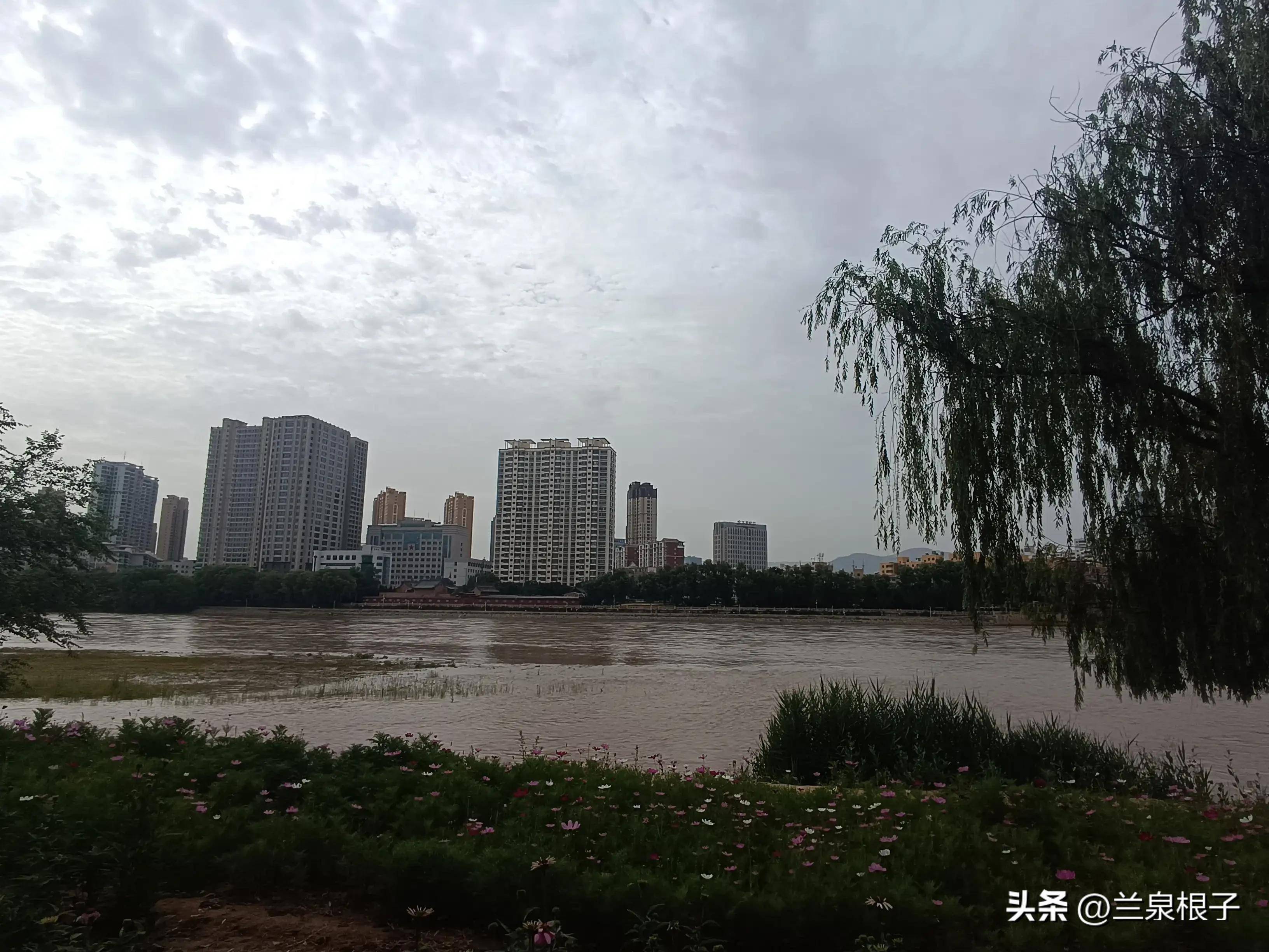 兰州养花人_公园_种植_绿化火狐电竞(图9)