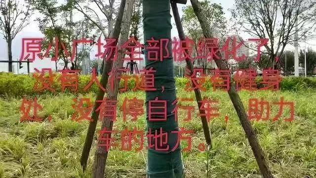 上海应切实解决市民生活火狐电竞困惑(图5)